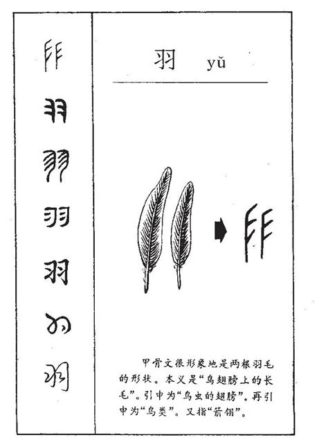 羽的意思名字|羽字宝宝起名取名：尊贵典雅、气质非凡的女孩名字精。